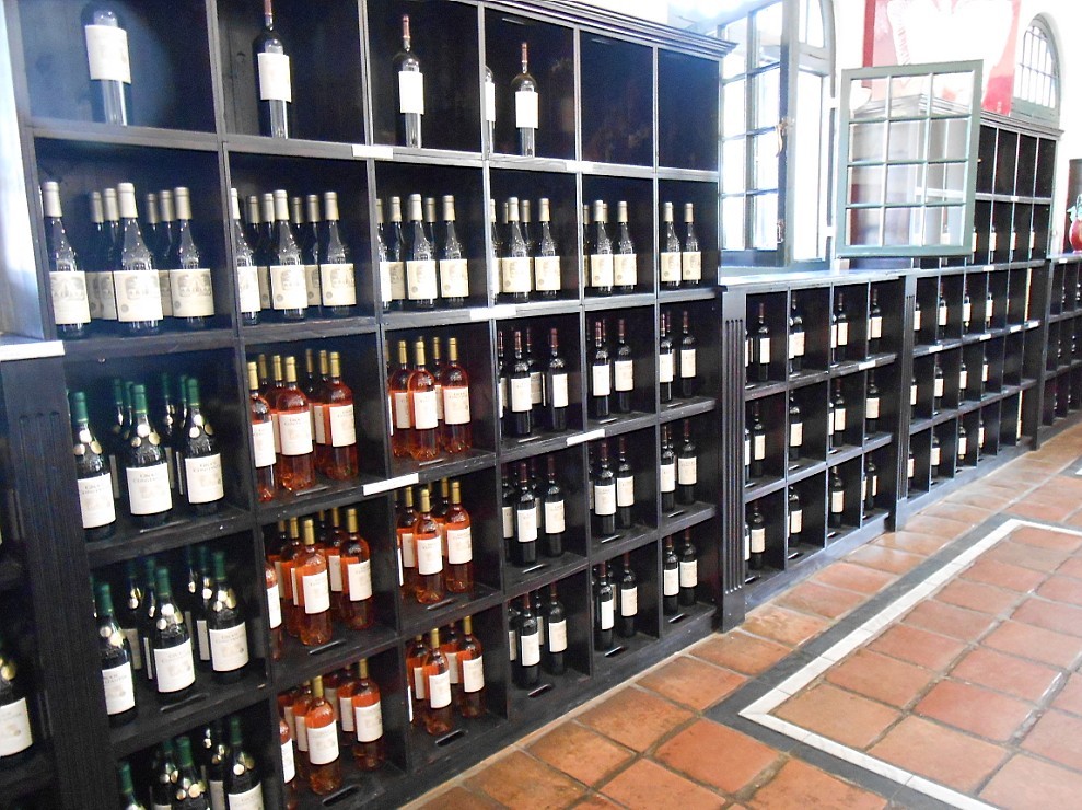 中國北方金銀業南非之旅5：葡萄酒莊園