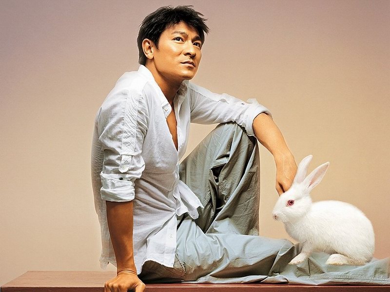 香港著名歌手、演員劉德華個人簡介
