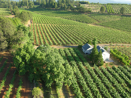 加州的埃爾多拉多酒鄉 California’s El Dorado Wine Country