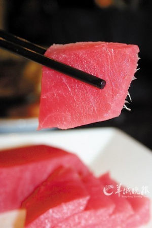 金槍魚被譽為健康食品